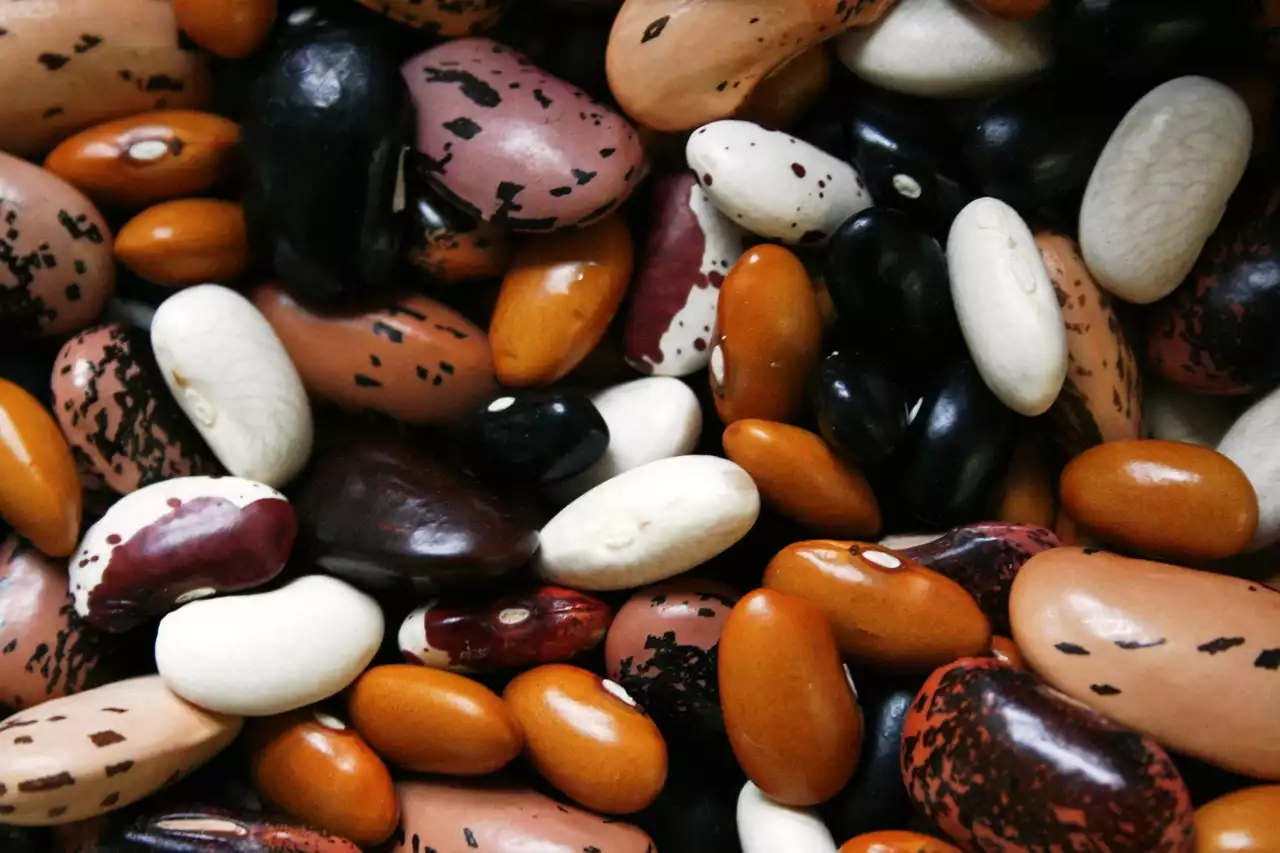 Beans and Legumes